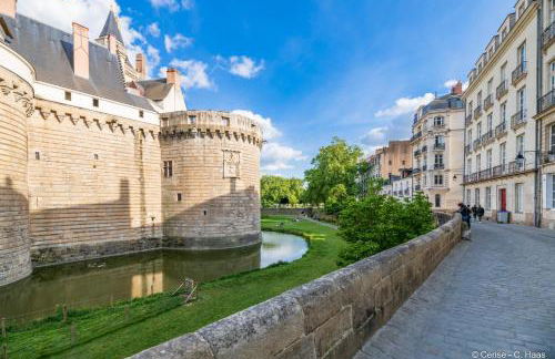 Cerise Nantes La Beaujoire - Foto 131
