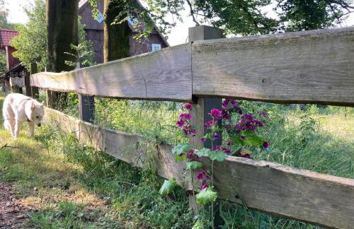 In der Wassermühle - Foto 24