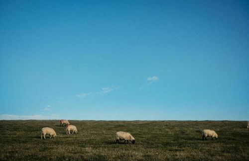 Wunderschöne FeWo direkt am Meer mit Whirlpool & Sauna - Photo 40
