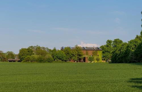 Rosenhagen in the Thorstorf estate barn - Foto 38