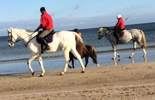 Ferienhaus mit Terrasse - Insel Usedom - Foto 20