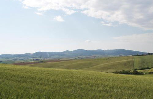 Residence Giuly Rosselmini - Foto 18