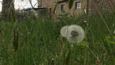 Giardino di Potentino - Foto 5, Garden