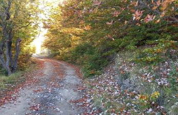 Casa Sperandini - Foto 52