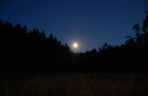 Wiśniowe Zacisze - Agroturystyka - Photo 15