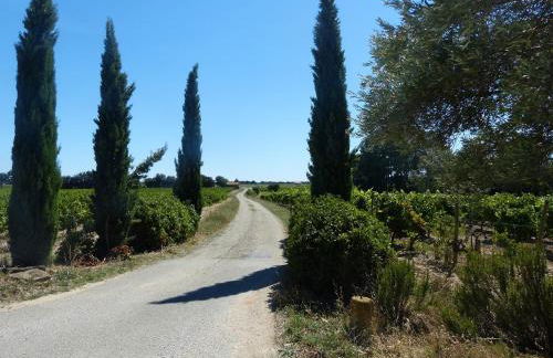 Villa confortable avec piscine privée à Uchaux - Foto 35