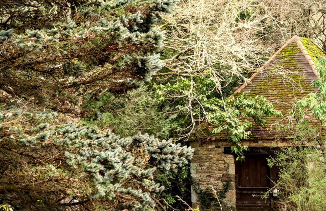 BONFARTO LOCATIONS - Foto 57