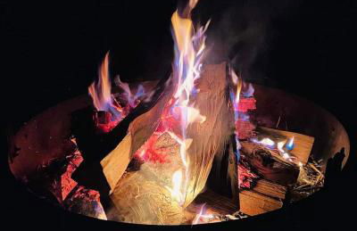 Blissful Solitude Cottage - Foto 18