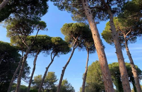 Pineda 38 - Photo 29