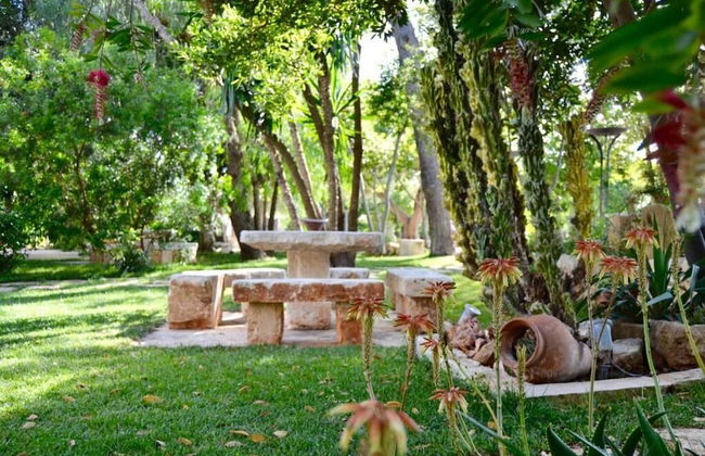 Masseria Le Lamie - Photo 58