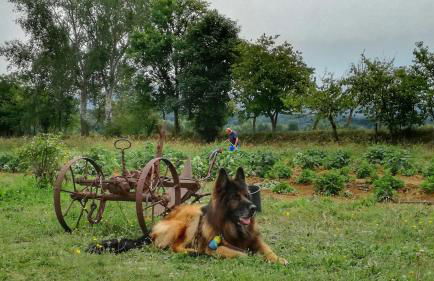 Agriturismo Casa Agricola Rossi Appartamenti in Casentino - Foto 109