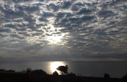 Margarita House - Photo 70