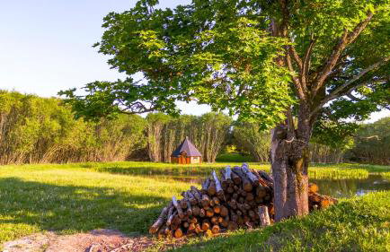 Agroturystyka Dzikie Stawy-Mazury - Foto 10