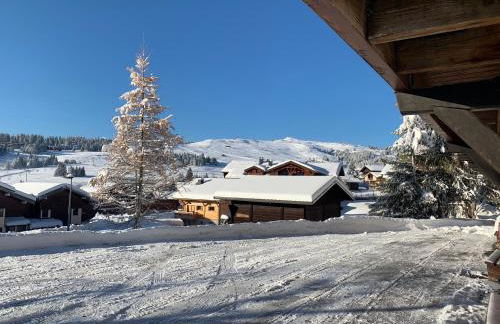 APPARTEMENT COSY AUX SAISIES n1 - Foto 24