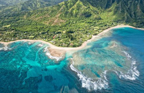 1Br 1Ba Kahala Tropical Dream, Pool, Garden View 513 - Foto 16