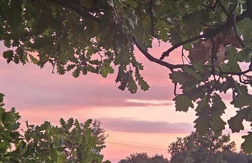 Au cœur de la provence - Foto 6