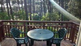 AGREABLE T2 LISIERE DU GOLF LACANAU OCEAN - Foto 3