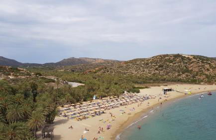 Olivar Suites - Photo 28