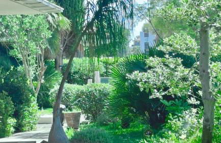 VILLA BRANDO - Exclusive 9-Guests Villa near Sabaudia, with Garden & Bikes - Foto 59