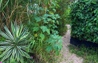 Casa pé na areia no Campeche - Foto 17