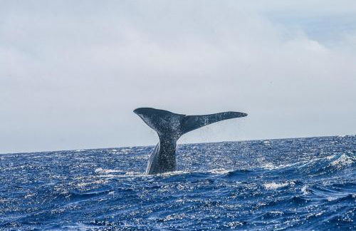 Casa Terra Mar - Photo 35