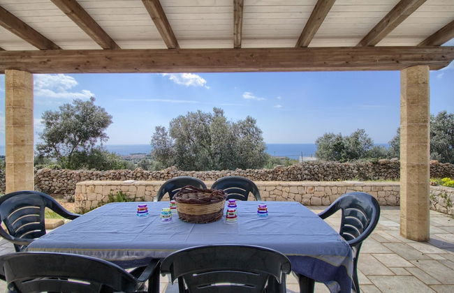 Salvia Lovely Seaview - Foto 1