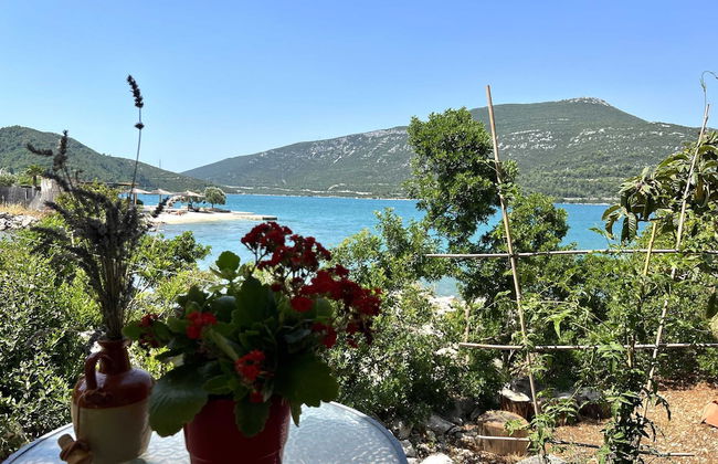 Apartments More & Ja - Foto 49