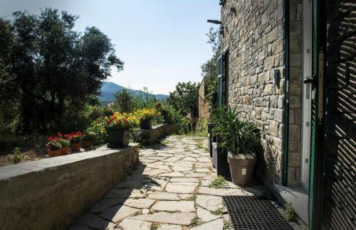 The Garden - Foto 38