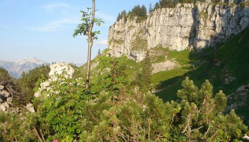 Ferienwohnung Socher "Am Wold" - Foto 4