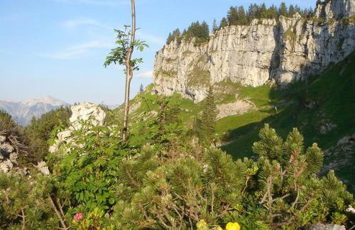Ferienwohnung Socher "Am Wold" - Foto 4