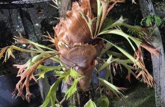 Aconchego IV - Foto 4