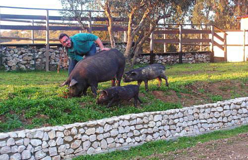 Herdade da Hera - Foto 25