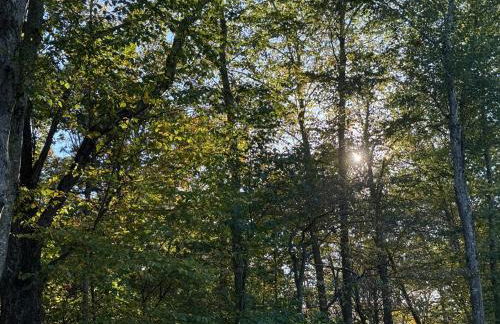 Spacious and tranquil 5br house in charming East Stroudsburg w game room, pets allowed - Foto 57