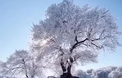 Ferienwohnung Wiesenblick in Seiffen - Foto 49