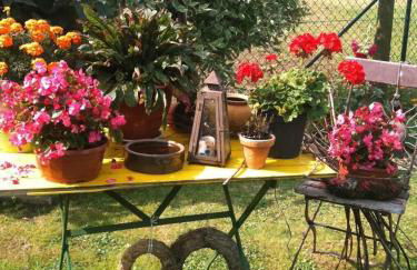 Ferienwohnung Laßmann - Foto 15