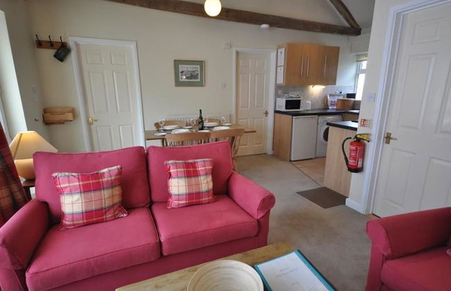 Green Door - Venus - Photo 7