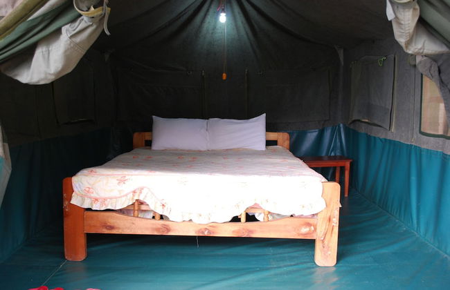 Crater Bay Cottages - Photo 13