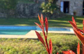 Casa das Andorinhas - Foto 37