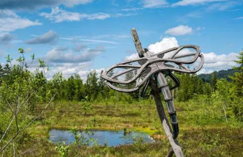 Gästehaus Aicher - Chiemgau Karte - Foto 18
