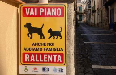 la casetta degli amici Ustica - Foto 7