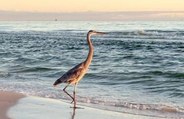 Walk to beach, bring your boat - Foto 12