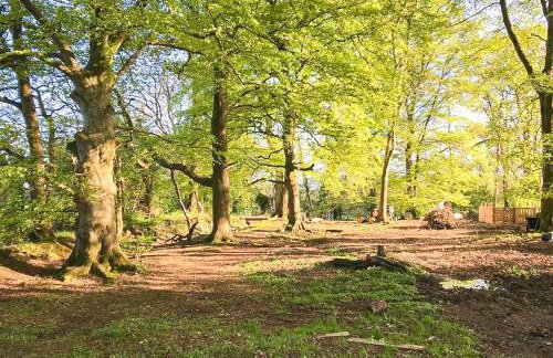 Blackberry Loft - a Hidden Gem - Foto 29