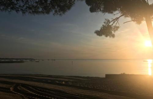 Location villa entre lac et océan avec son spa de nage - Foto 57