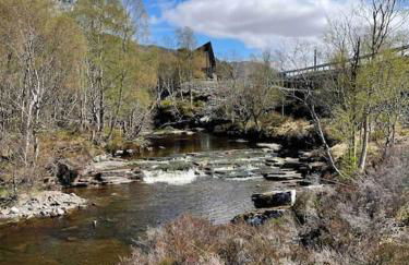 Bright, contemporary house & large private garden - Foto 29