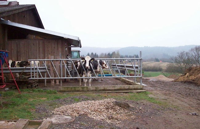 "hochstein" Modern Retreat - Foto 20