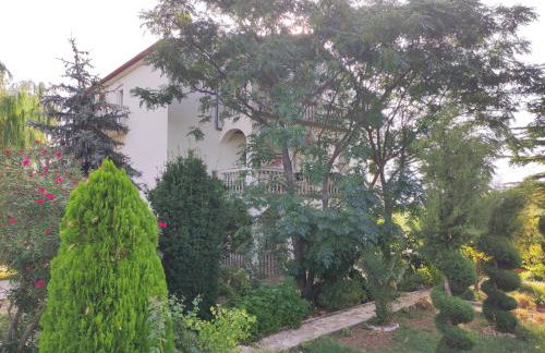 Villa Olive Island - Photo 20