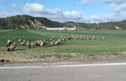 El Desván del Campanero apartamento con jardín - Foto 37