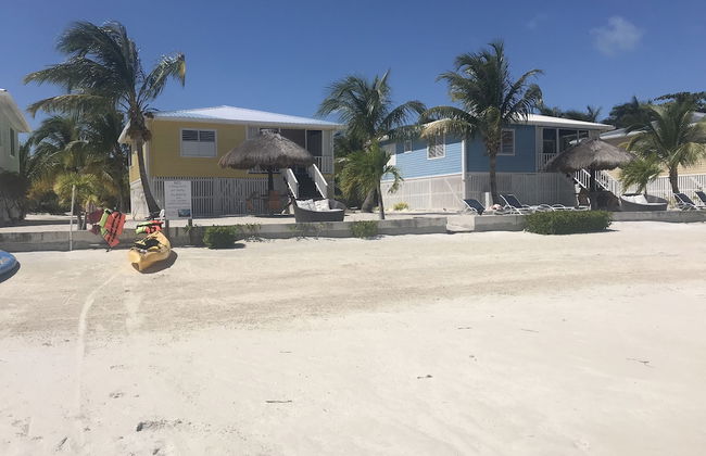 Shaka Caye - Photo 64