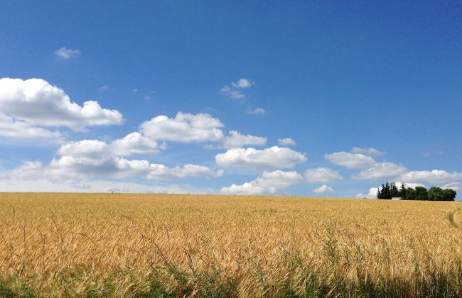 Apartment With Private Terrace in Prunn - Photo 47