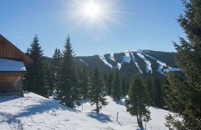 Beautiful Holiday Home in Weinebene With Sauna - Foto 17